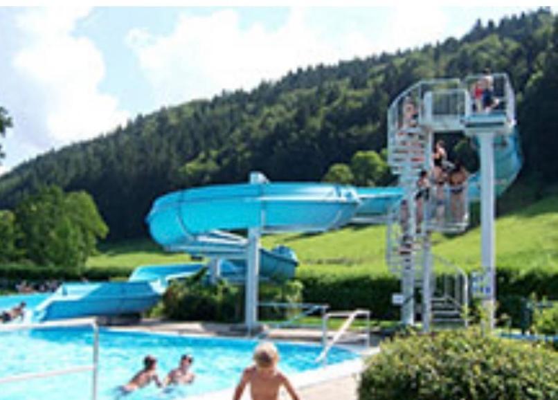 Fewo Alpenwiese Mit Hallenbad&Sauna Missen-Wilhams Exteriér fotografie